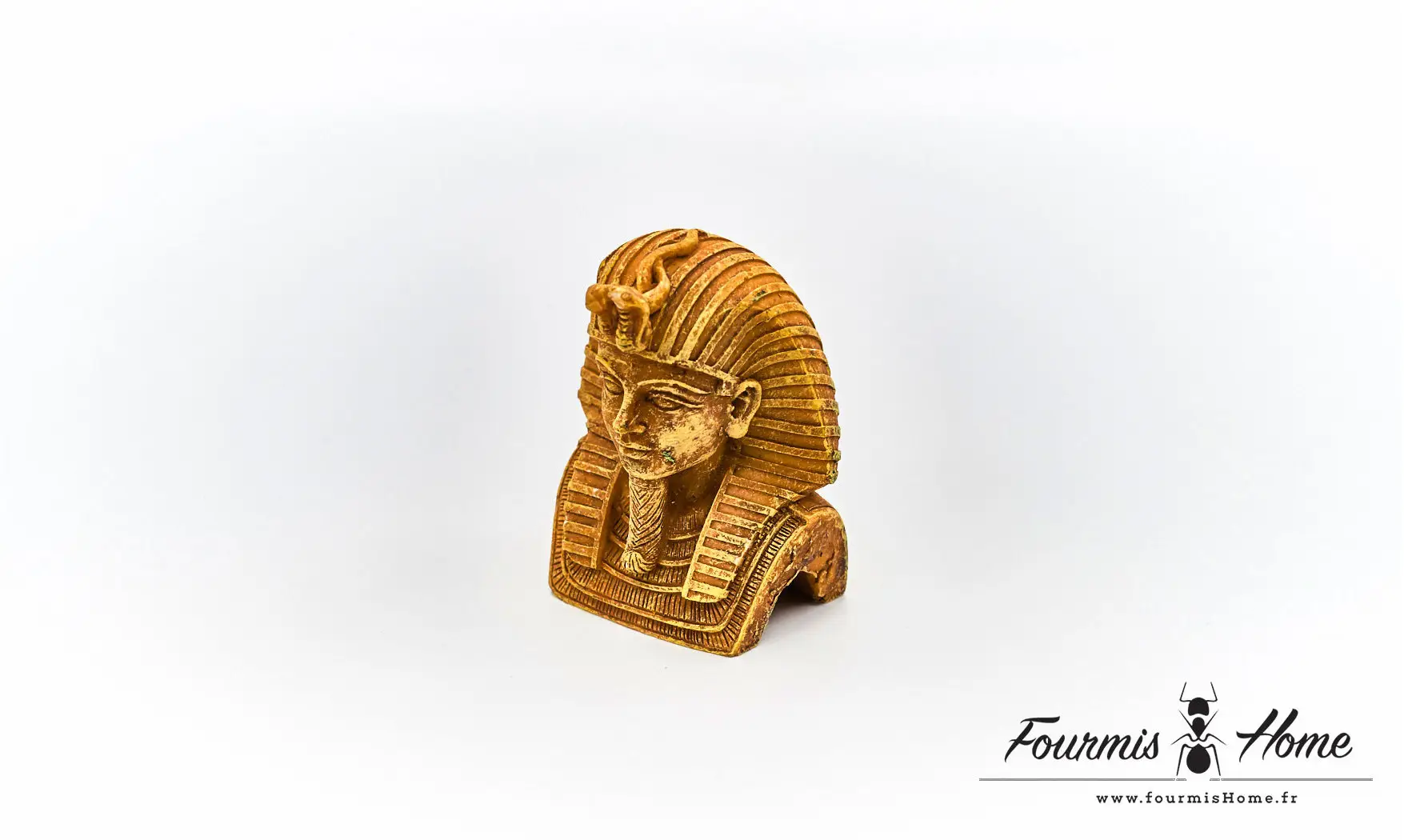 Pharaon doré