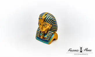 Pharaon bleu/doré