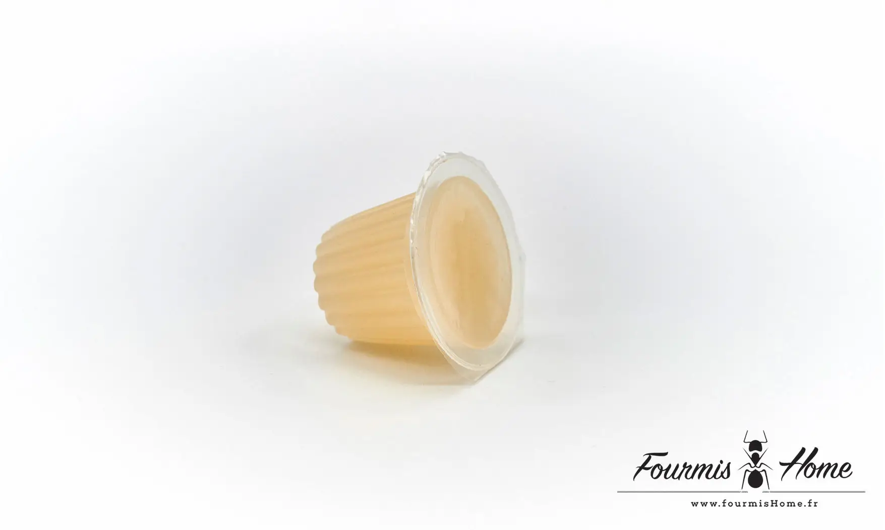 Gelée proteinée ACIDULEE