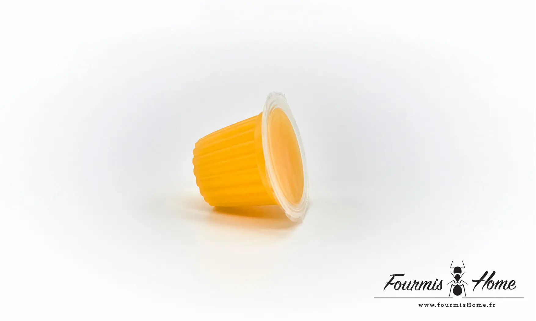 Gelée proteinée BANANE