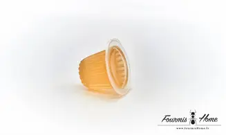 Gelée proteinée MIEL