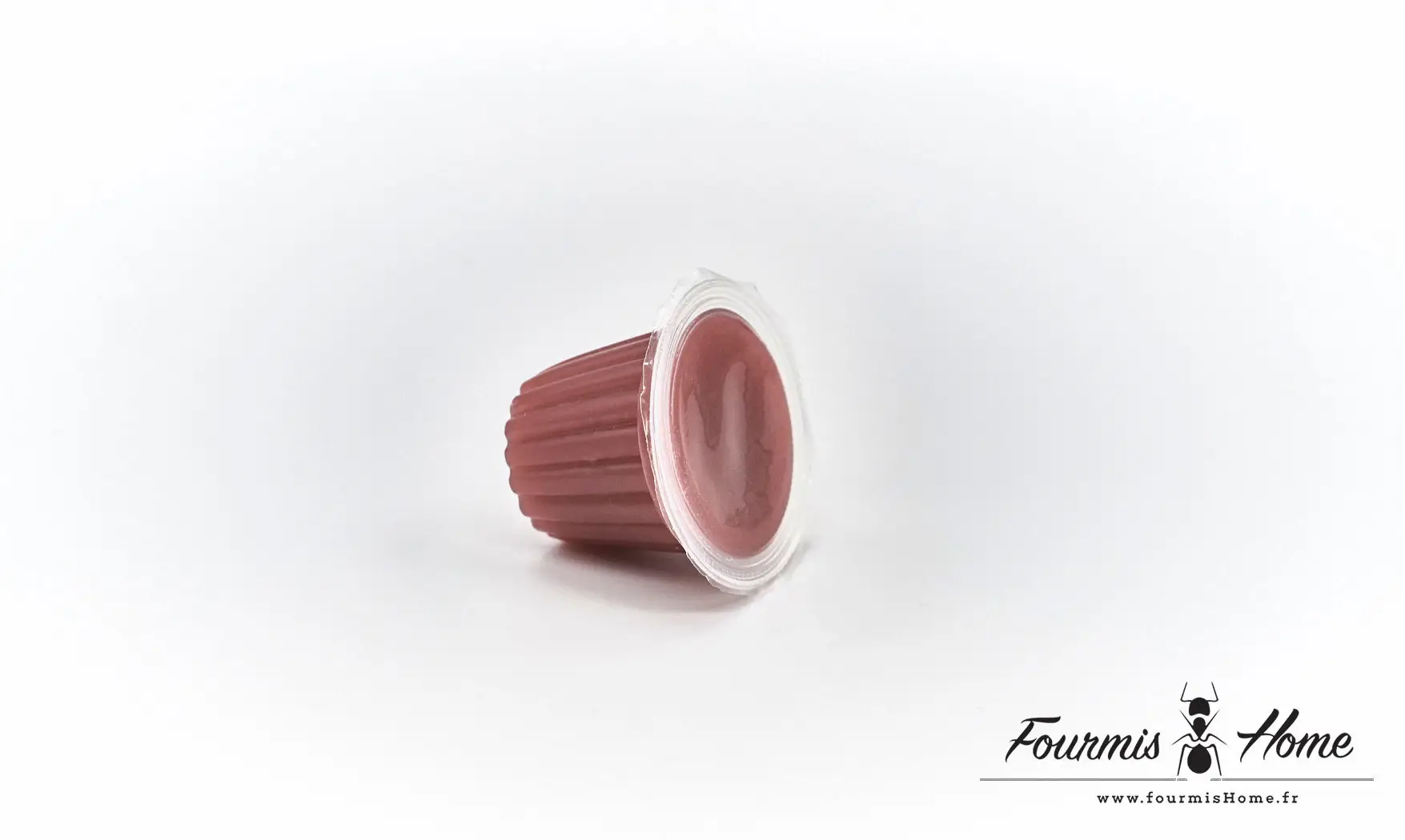 Gelée proteinée RAISIN