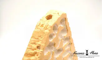 Triangle pour terra