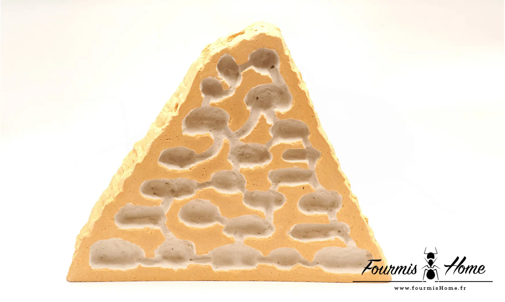 Triangle pour terra