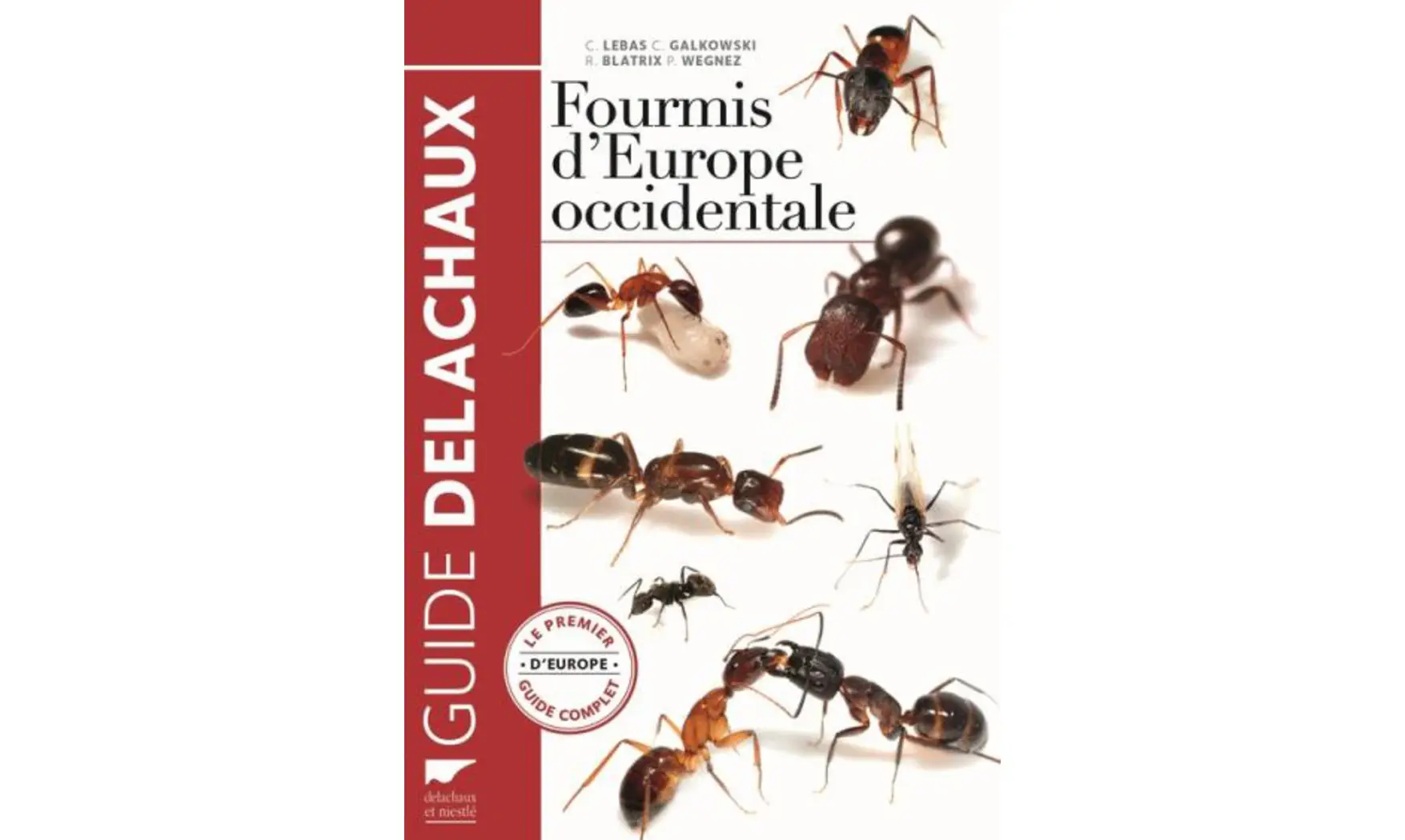 Fourmis d'Europe occidentale