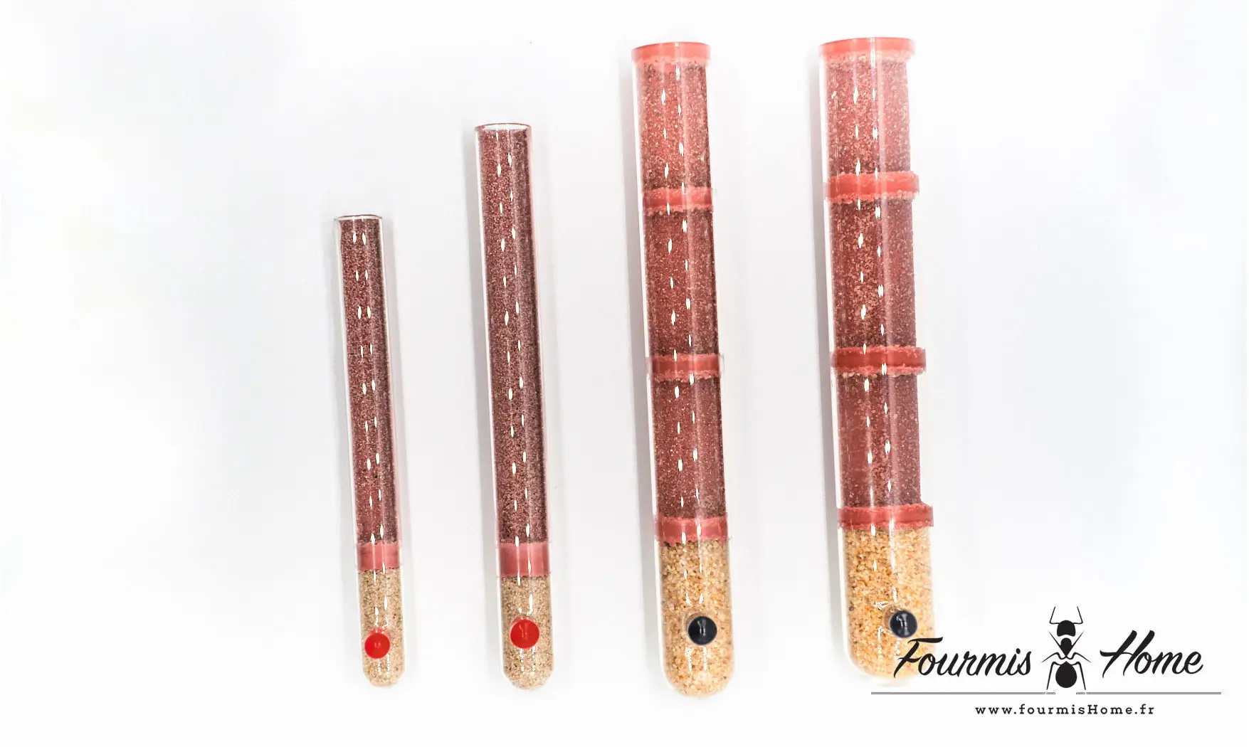 Pack ADC 15 mm plâtre