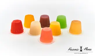 Gelée proteinée ORANGE