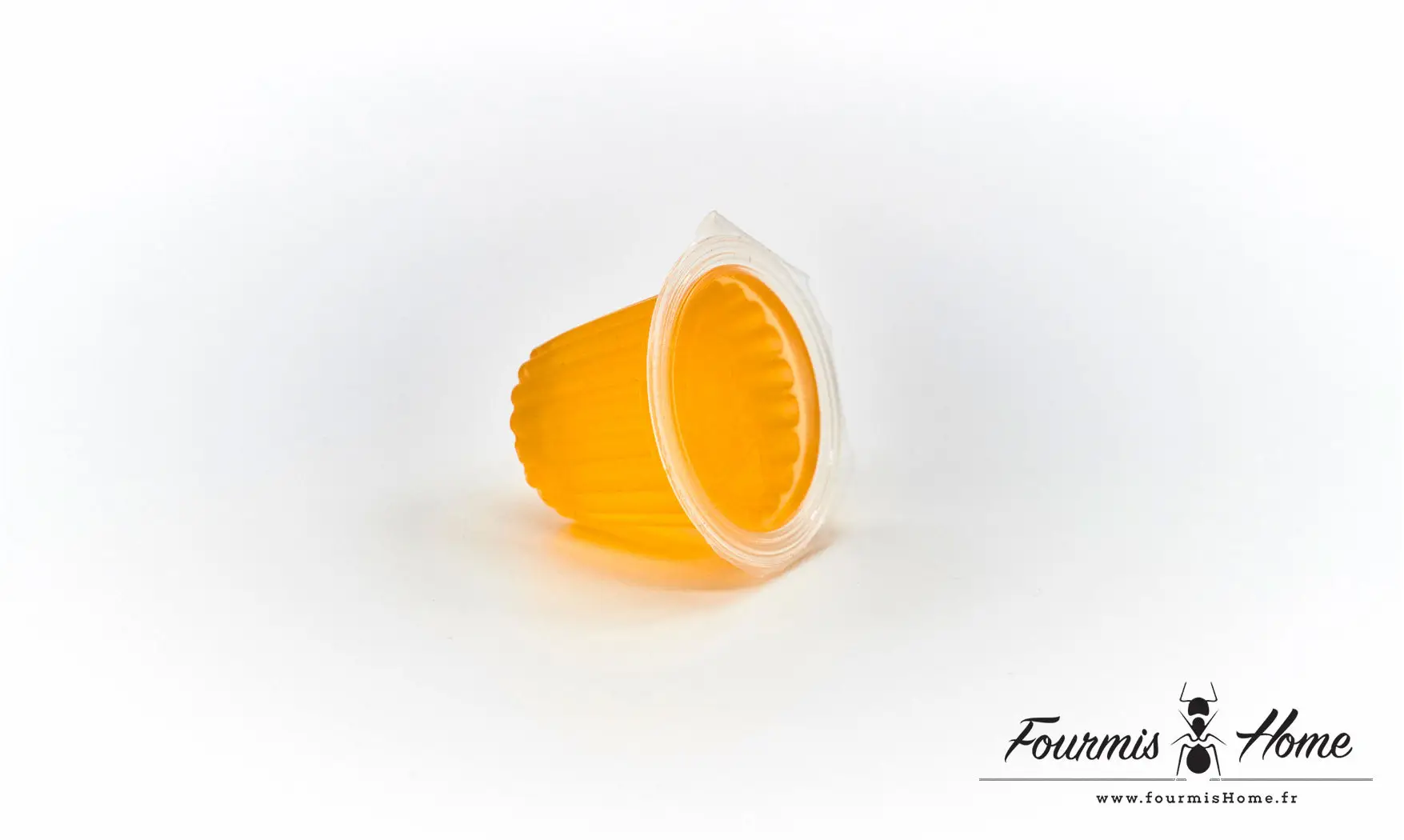 Gelée proteinée ORANGE