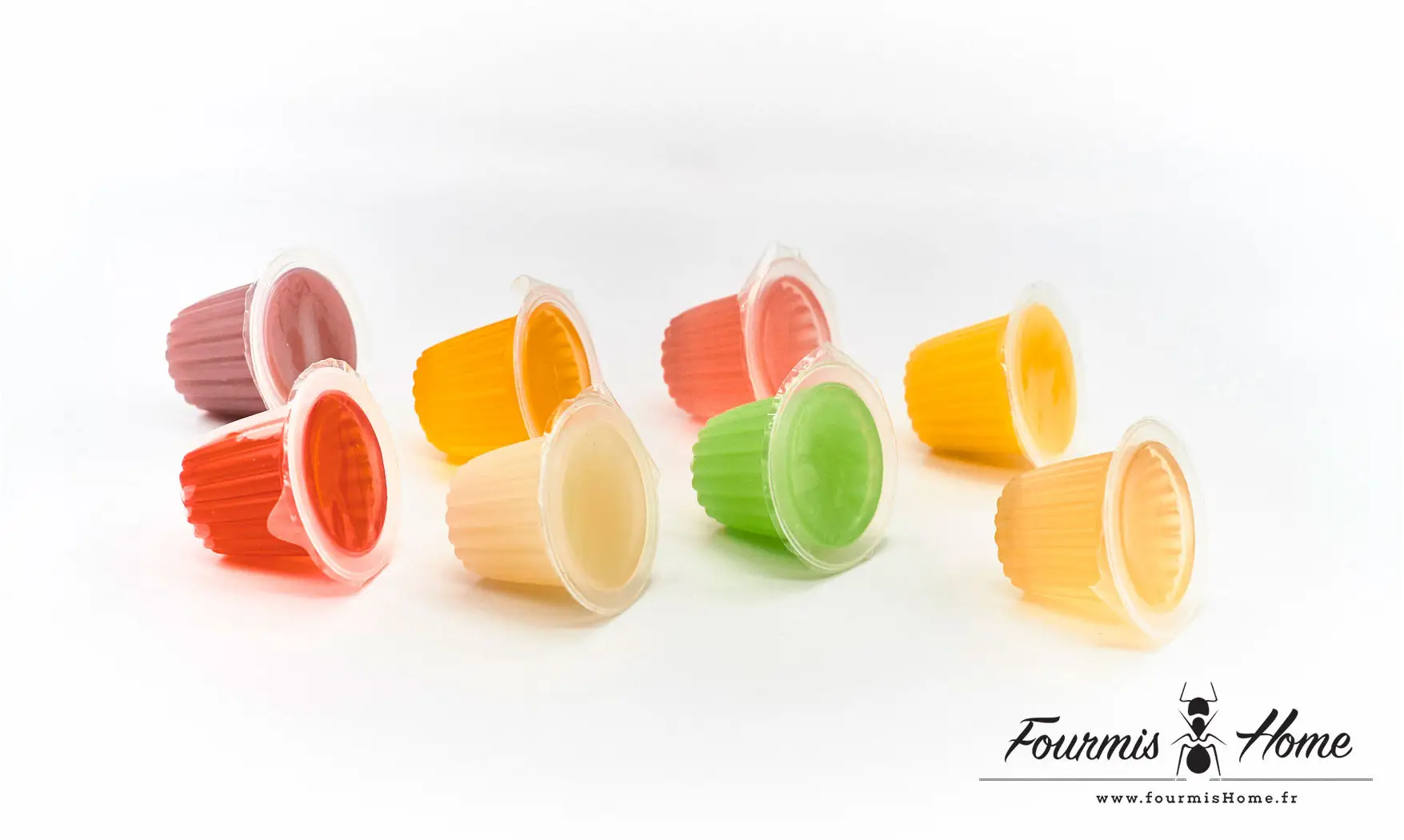 Gelée proteinée ORANGE