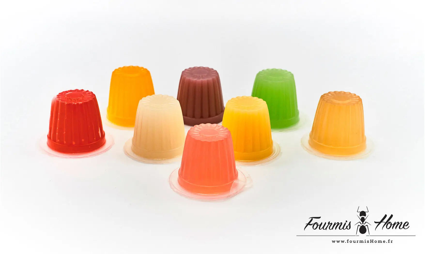Gelée proteinée ORANGE