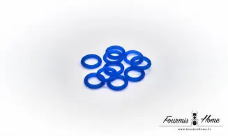 Elastique bleu