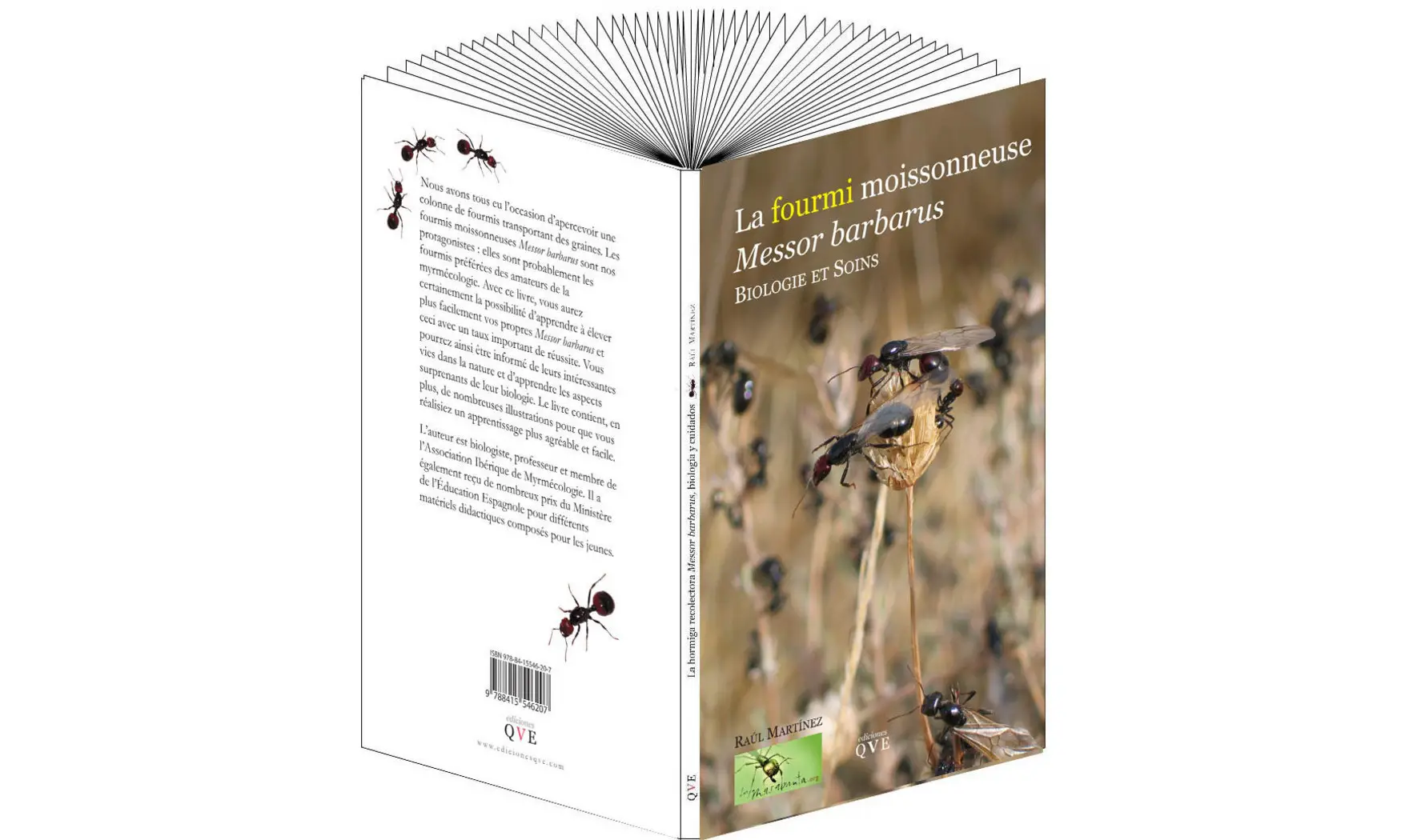 Livre sur les Messor barbarus