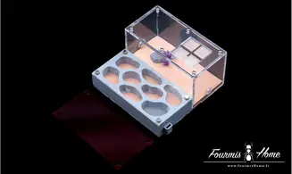 Nid 3D - M
