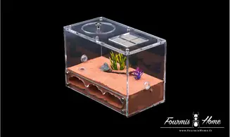 Nid plexi plâtre