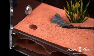 Nid plexi plâtre