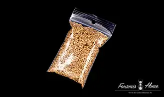 Pack Swiss FOURMI